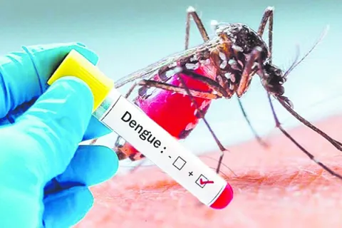 పొంచి