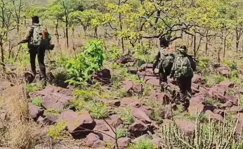 security forces Vs Maoist Encounter again In Chhattisgarh12
