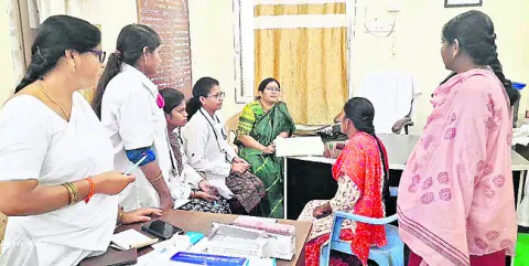 శనివా