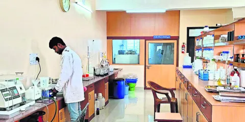 సిబ్బ