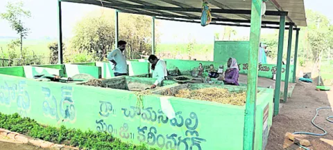 పారిశ