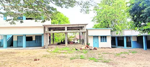 సగం స