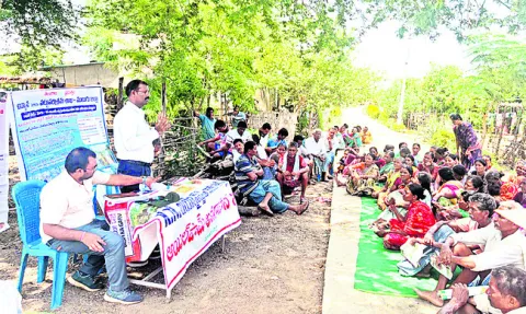 ఉద్యానవన పంటల సాగుతో అధిక దిడుబడి