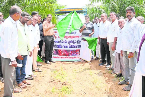 ఆయిల్‌పామ్‌ సాగు చేయండి 