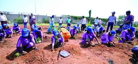 మొక్కల పెంపకంతో  ఎడారి నివారణ 
