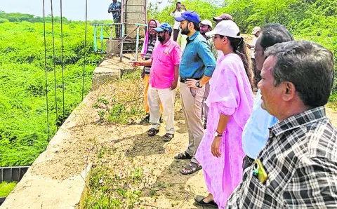 సాగునీరు అందేలా చర్యలు