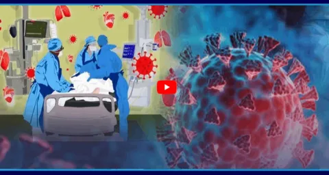 Corona New Virus Cases Latest Updates 1