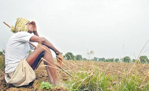 Bollimuntha Sambasiva Rao write on Farmers Problems in AP