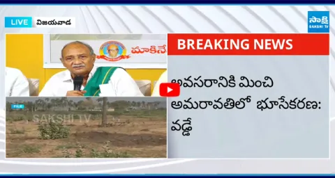 TDP Senior Leader Vadde Sobhanadreeswara Rao Shocking Comments On Chandrababu 1