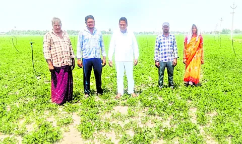 రైతులకు సక్రమంగా విద్యుత్‌ అందించాలి 