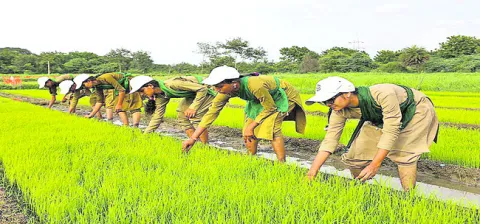 ‘అగ్రికల్చర్‌ పాలిటెక్నిక్‌’ నోటిఫికేషన్‌