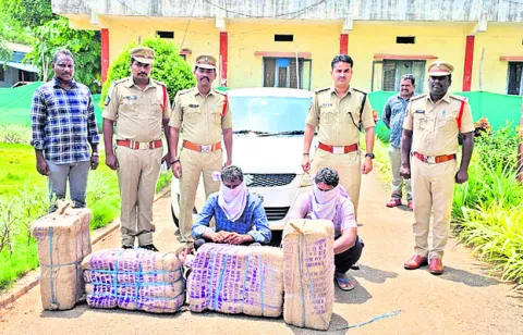 గంజాయి తరలిస్తున్న ఇద్దరి అరెస్టు 
