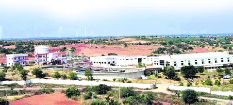తారస్