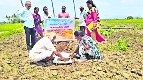 పరీక్