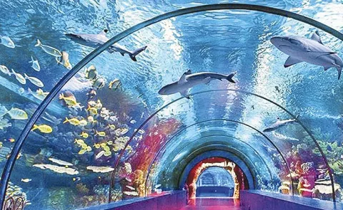 Hyderabad City to Host One of India Largest Aquariums at Nehru Zoological Park