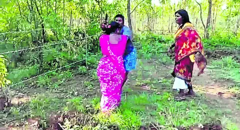 భూవివ
