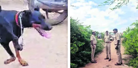స్నేహ