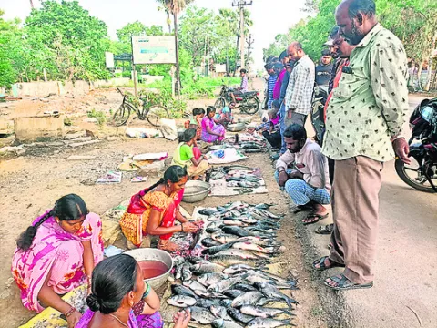 పచ్చా