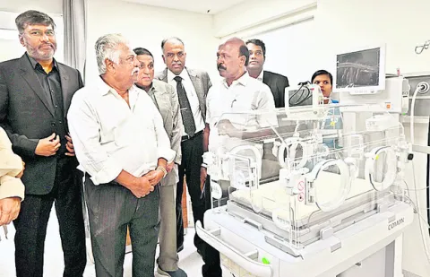 పెరిగ