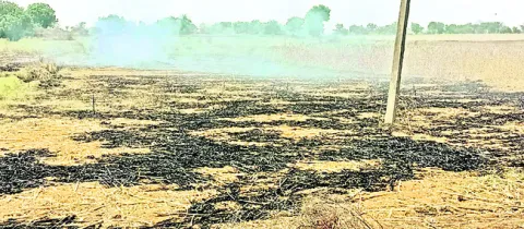పంట అవశేషాలను కాల్చొద్దు.. 