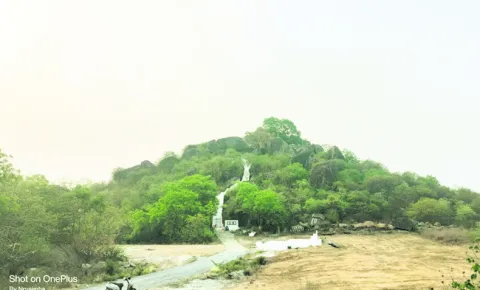 వృద్ధ