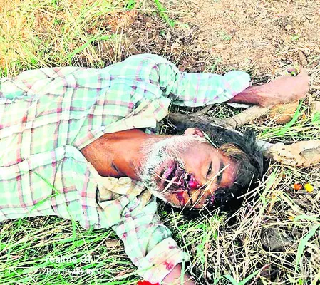 రోడ్డ