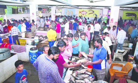 మృగశి