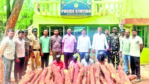నలుగురు ఎర్రచందనం స్మగ్లర్లు అరెస్టు
