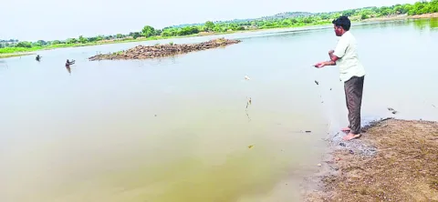 చేపలక
