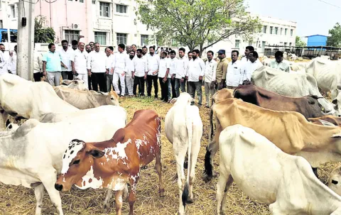 ‘రాజన్న కోడెల మృతికి కారణం దేవాదాయశాఖ మంత్రి’