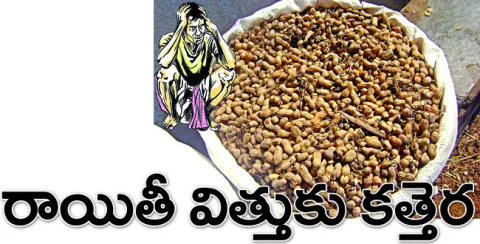 అరకొ