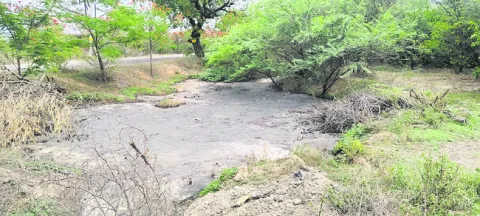 రోడ్డు పక్కన దుర్గంధం