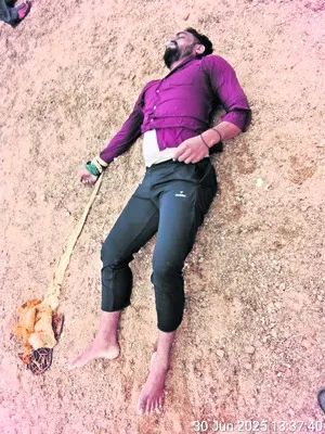 చేపల 