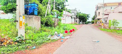 సేకరణ లేక.. రోడ్ల పక్కన చేరిక 