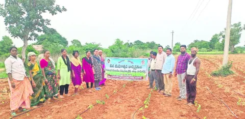 పట్టు సాగుకు ముందుకు రావాలి 
