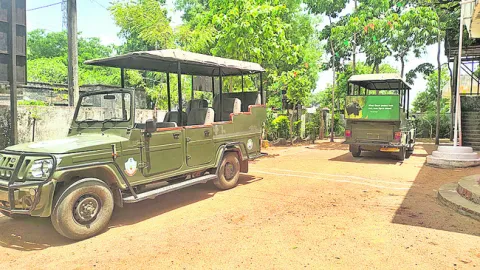 సఫారీకి సెలవు