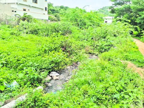 ఎక్కడెక్కడ అంటే..? 
