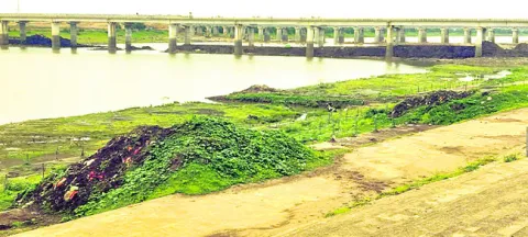 గోదావరిలో మట్టి కుప్పలు 