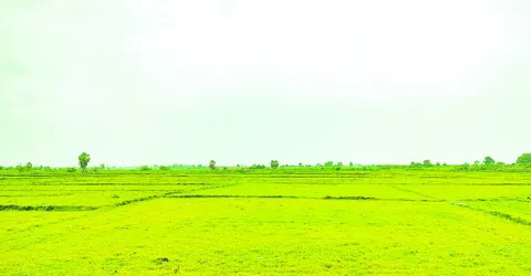 జూన్‌