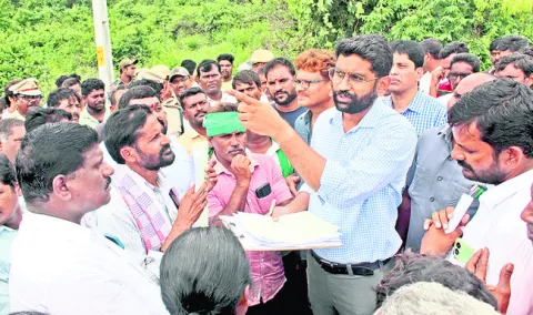 వెదురు, మునగతో అధిక లాభాలు