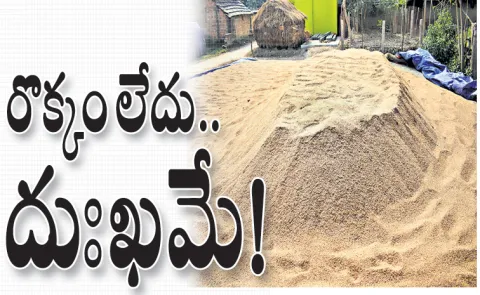 Grain Farmers Worry with TDP Chandrababu Govt