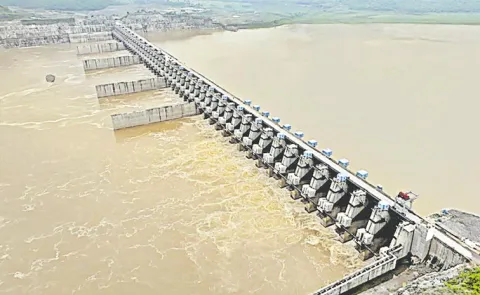 Get CWC to study water availability in Godavari