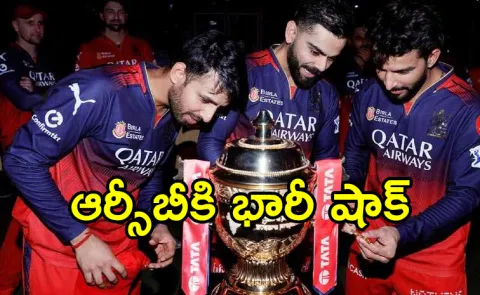 Do Not Have Aladdin ka Chirag CAT Holds RCB Responsible For Stampede