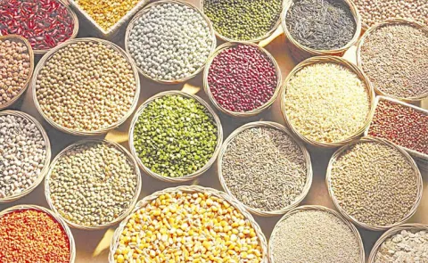 Food grain production up in Andhra Pradesh