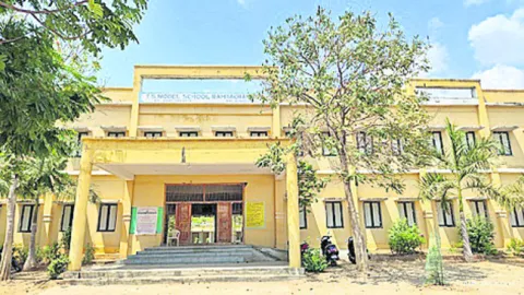 పిల్ల