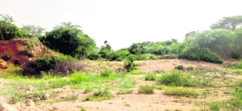 కోతకు గురైన భూములు.. 

