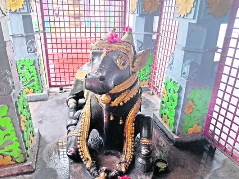 కుస్త