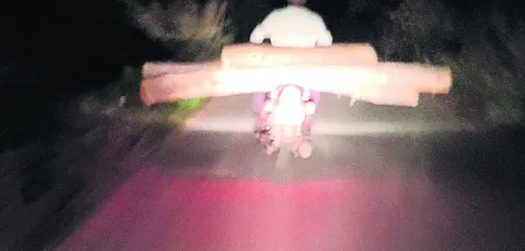 అడవిప