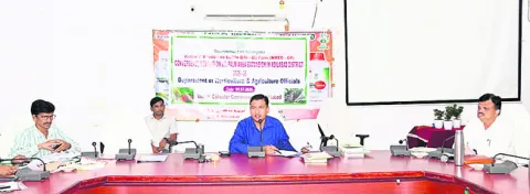 ఆయిల్‌పామ్‌ సాగు లాభదాయకం