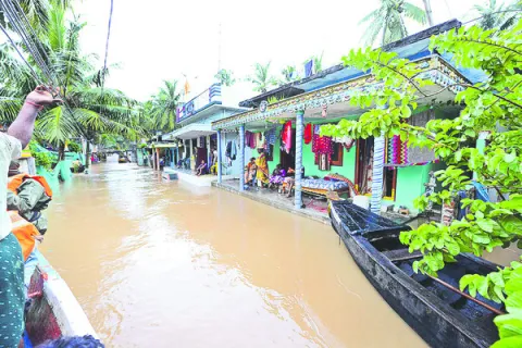 గోదార